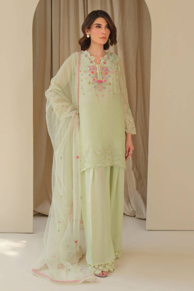 Mint June with Dupatta and Shalwar - Image 3