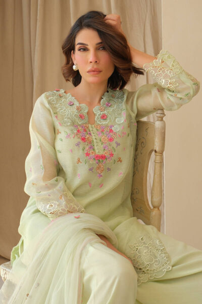 Mint June with Dupatta and Shalwar - Image 4