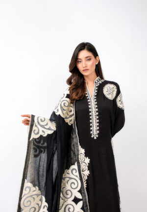 Alara Onyx Shirt & Dupatta