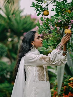 Bahar E Chandni