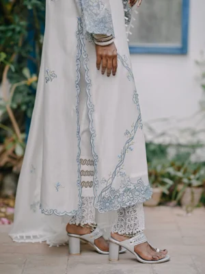 Chandni Shab