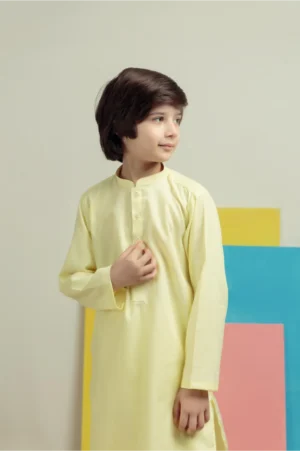 Silver Lime Kurta Pajama