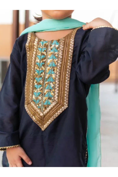 Stary Night Embroidered Block Print Shalwar Kameez Set - Image 2