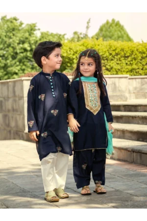 Stary Night Embroidered Block Print Shalwar Kameez Set