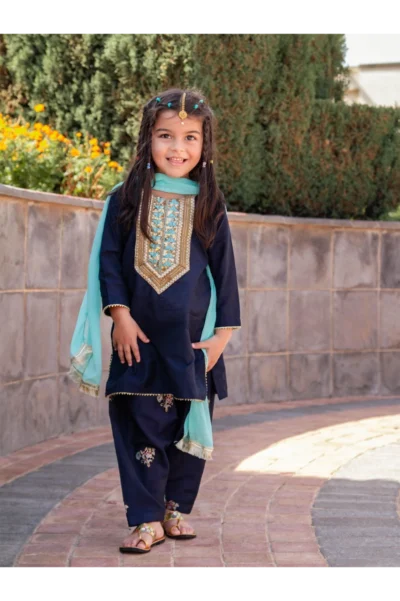 Stary Night Embroidered Block Print Shalwar Kameez Set - Image 4