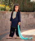 Stary Night Embroidered Block Print Shalwar Kameez Set