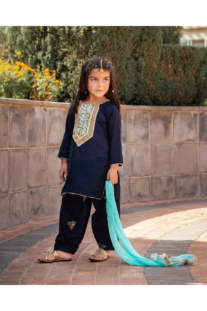 Stary Night Embroidered Block Print Shalwar Kameez Set