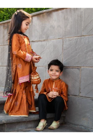 Mari Gold - Embroidered Block Print Gharara Set