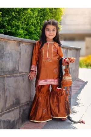 Mari Gold - Embroidered Block Print Gharara Set