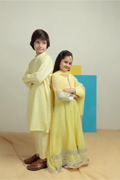Silver Lime - Chiffon Frock - Image 6