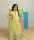 Silver Lime - Chiffon Frock