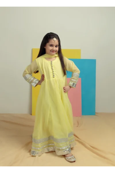 Silver Lime - Chiffon Frock