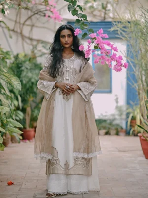 Mai Teri Chandni