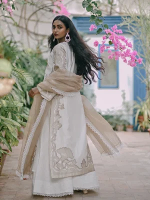Mai Teri Chandni