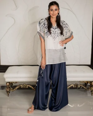 Ayzel Navy