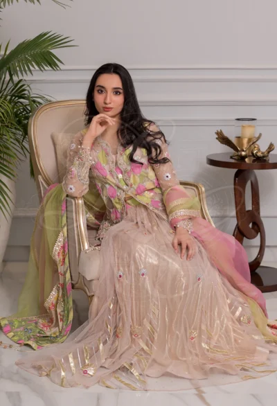 Zeenat Chattapatti Gota Panelled Lehenga Set - Image 5