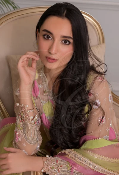 Zeenat Chattapatti Gota Panelled Lehenga Set - Image 7