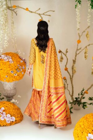 Sena Sunshine Kurta Set