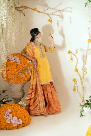 Sena Sunshine Kurta Set
