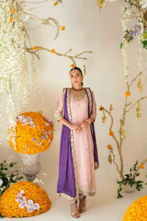 Leni Blush Anarkali Set - Rtd