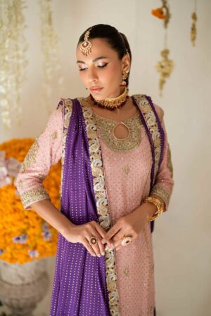 Leni Blush Anarkali Set - Rtd
