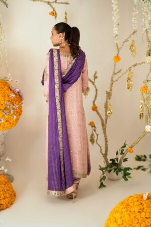 Leni Blush Anarkali Set - Rtd