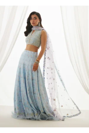 Zyla Sky Blue Choli, Lehenga And Dupatta