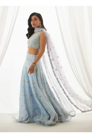Zyla Sky Blue Choli, Lehenga And Dupatta