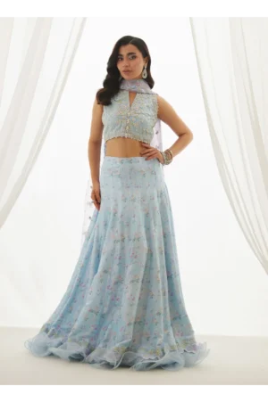 Zyla Sky Blue Choli, Lehenga And Dupatta
