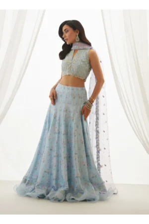 Zyla Sky Blue Choli, Lehenga And Dupatta
