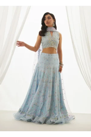 Zyla Sky Blue Choli, Lehenga And Dupatta