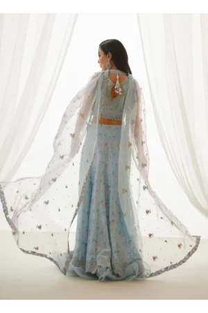 Zyla Sky Blue Choli, Lehenga And Dupatta