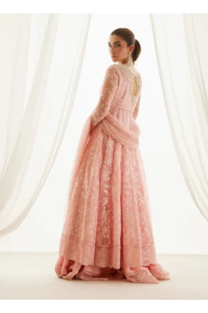 True Blush Kalidaar And Dupatta