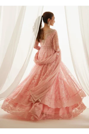 True Blush Kalidaar And Dupatta