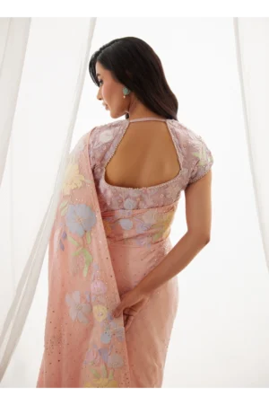 Neve Blush Saree And Blouse