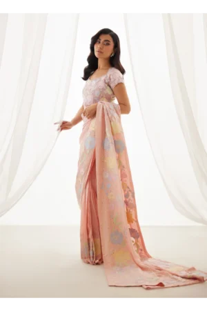 Neve Blush Saree And Blouse