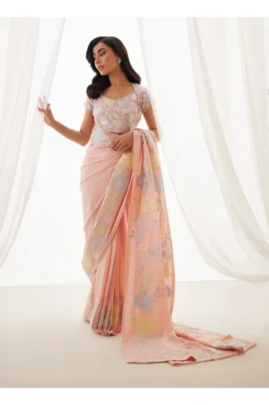 Neve Blush Saree And Blouse