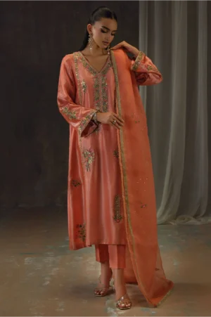 Peach Zari Long Full Set