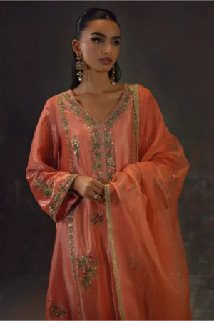 Peach Zari Long Full Set