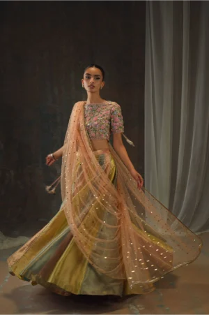 Setareh Lehnga