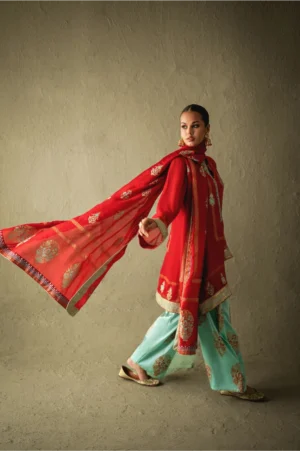 Ravya Red Chiffon Block-Print Set