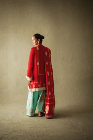Ravya Red Chiffon Block-Print Set