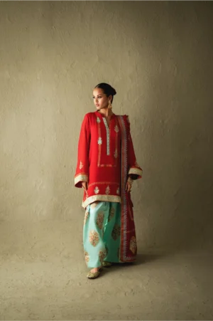 Ravya Red Chiffon Block-Print Set