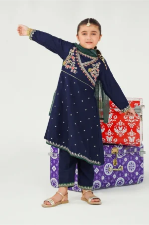 Navy Blue Raw Silk Embroidered (3 Pc Suit)