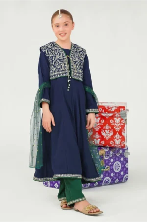 Navy Blue Raw Silk Embroidered (3 Pc Suit)