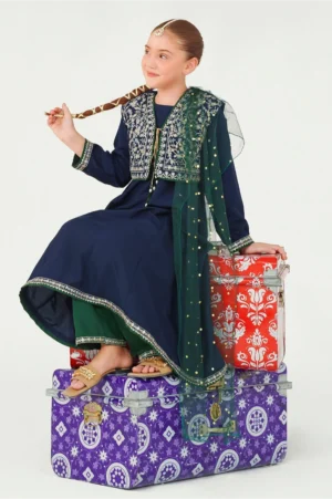 Navy Blue Raw Silk Embroidered (3 Pc Suit)