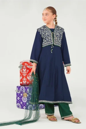 Navy Blue Raw Silk Embroidered (3 Pc Suit)