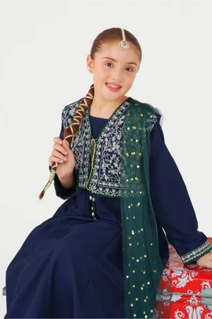 Navy Blue Raw Silk Embroidered (3 Pc Suit)