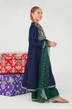 Navy Blue Raw Silk Embroidered (3 Pc Suit)