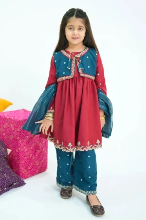 Maroon Raw Silk Embroidered (3 Pc Suit)